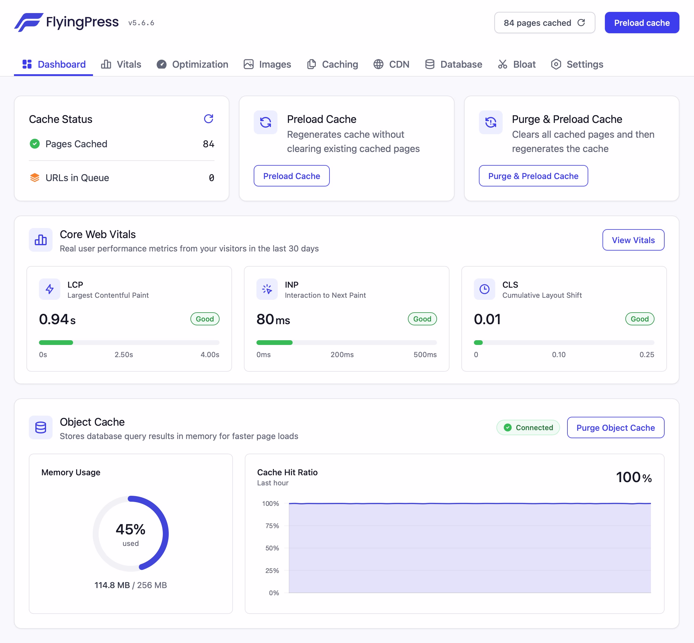FlyingPress Dashboard screen